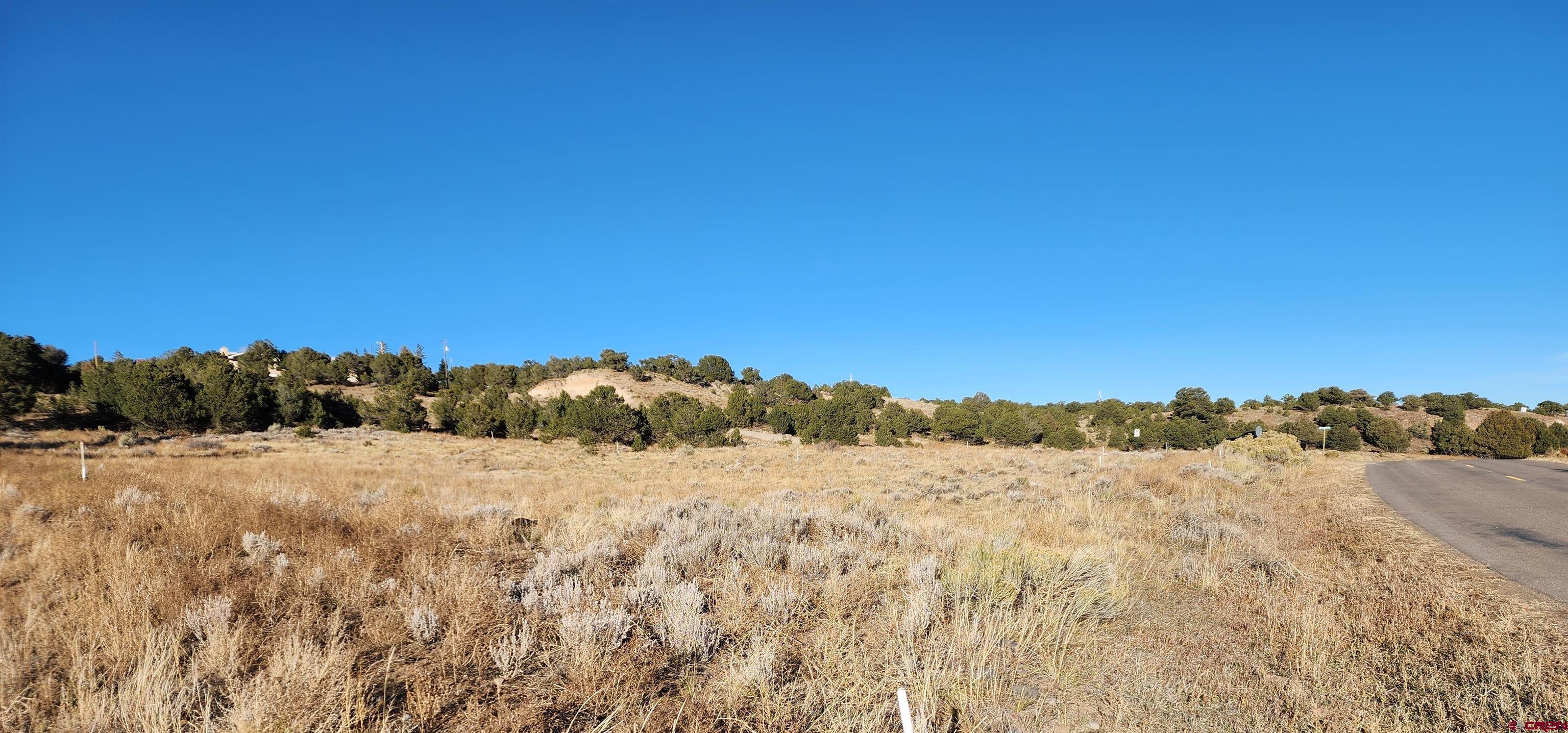 265 Kit Carson Road South Fork, CO 81154 - Photo 5 of 8 Gallery Image 5