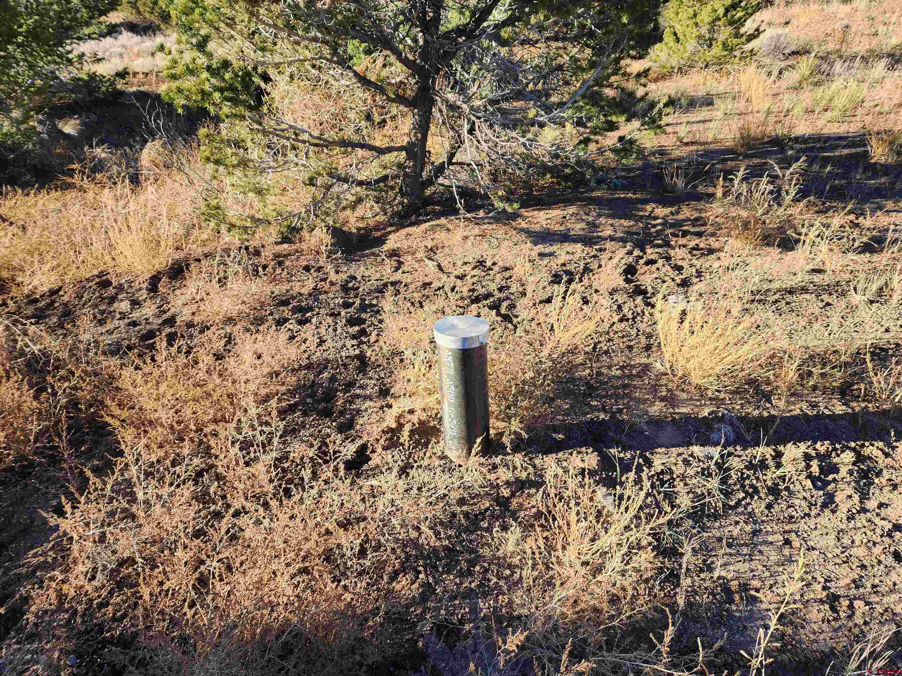 265 Kit Carson Road South Fork, CO 81154 - Photo 6 of 8 Gallery Image 6