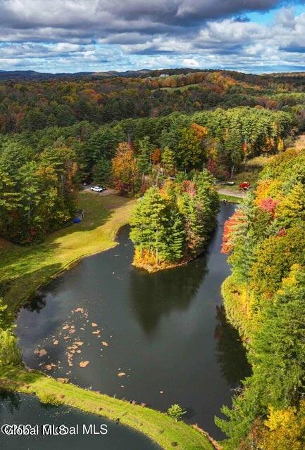88 County Rte 25 Granville, NY 12832 - Photo 19 of 19 Pond
