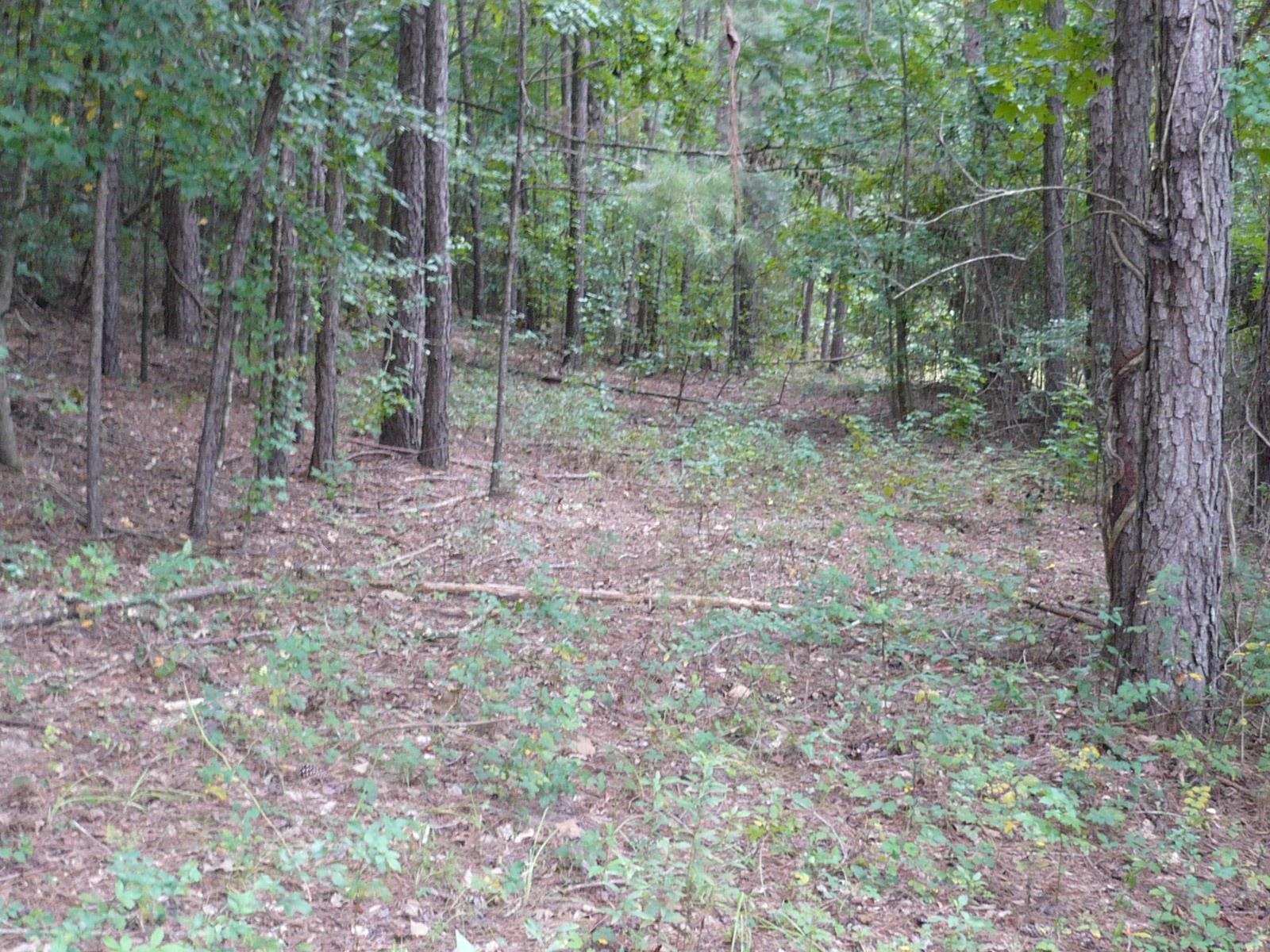 3.12-acres Cool Springs Road Fort Valley, GA 31030 - Photo 11 of 13