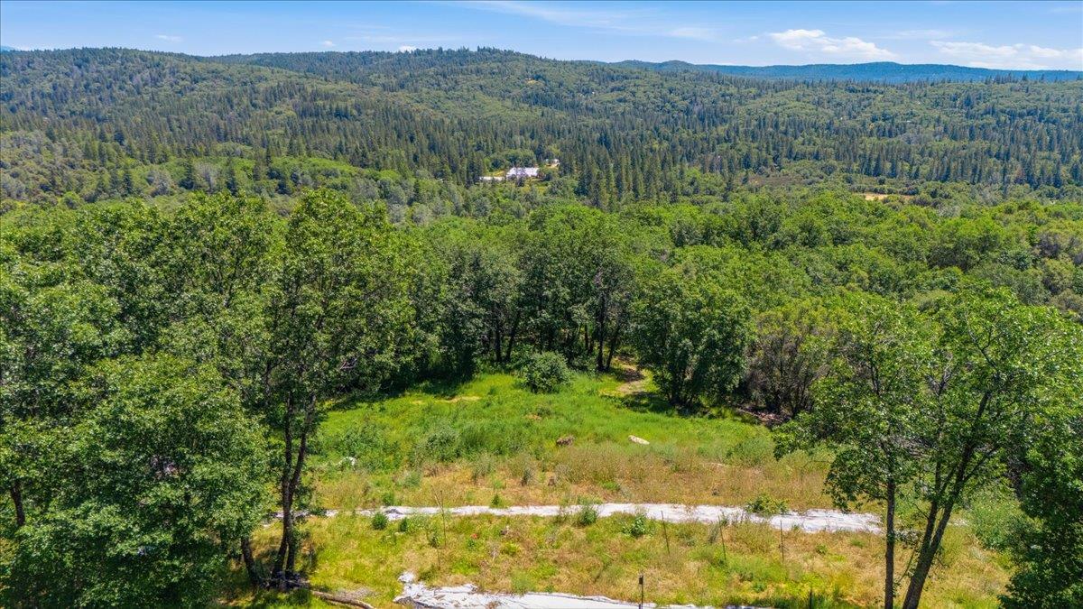 20154 Sky Ridge Place Nevada City, CA 95959 - Photo 11 of 20 a view of a lush green forest with trees and some houses