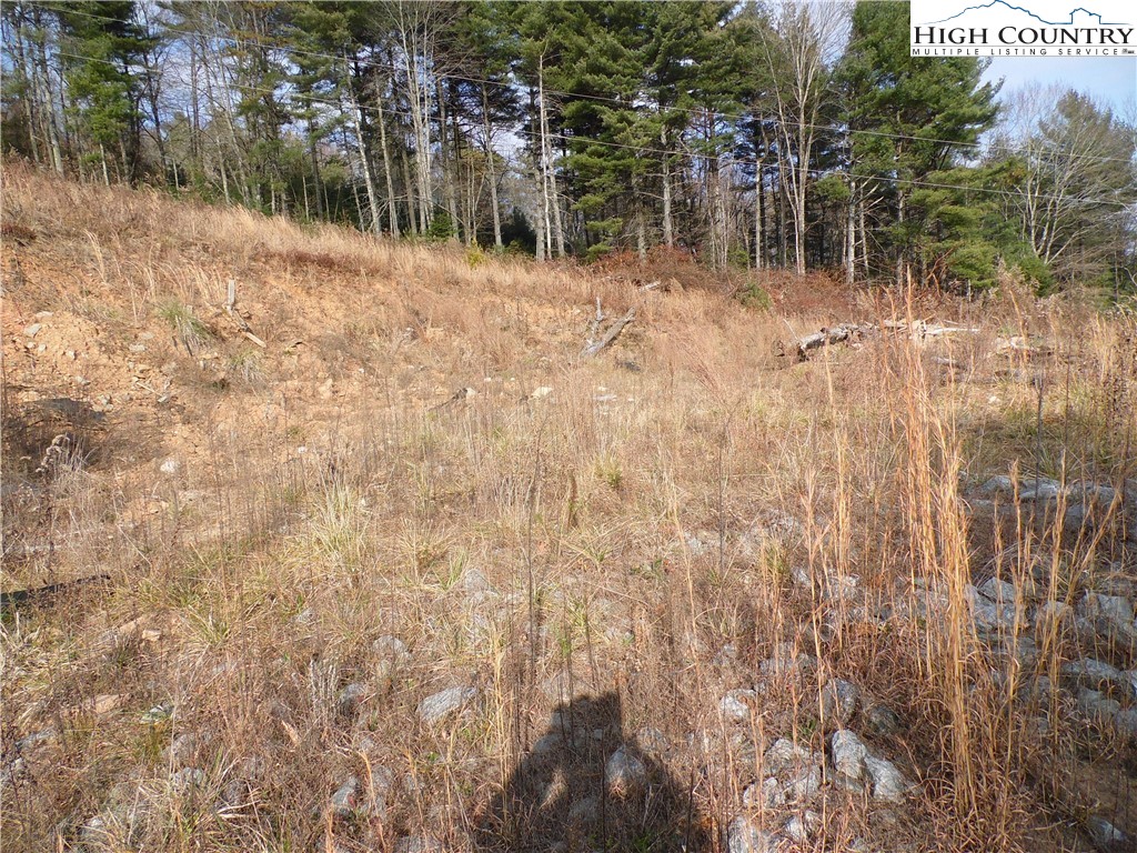 4143 Mountain View Road Glade Valley, NC 28627 - Photo 12 of 16