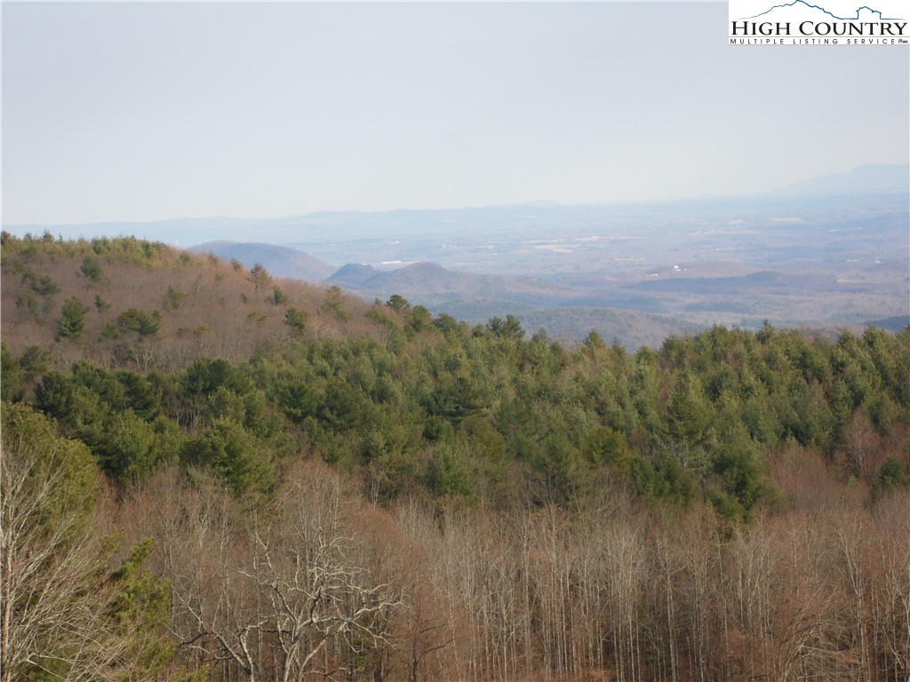 4143 Mountain View Road Glade Valley, NC 28627 - Photo 14 of 16