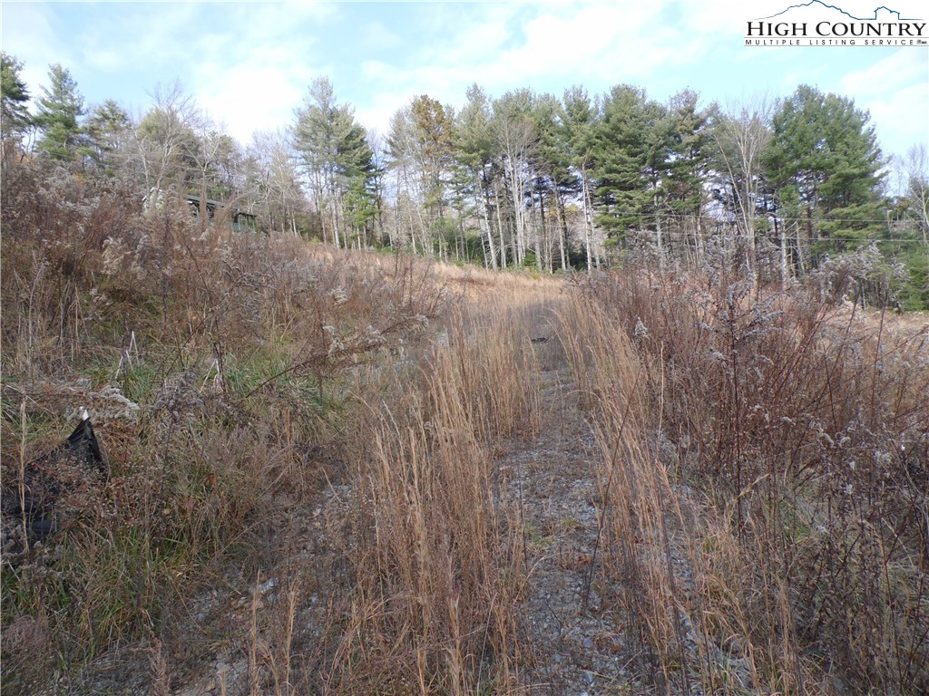 4143 Mountain View Road Glade Valley, NC 28627 - Photo 15 of 16