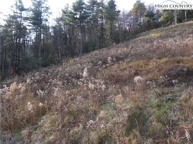 $29,900 | 4143 Mountain View Road, Glade Valley, NC 28627