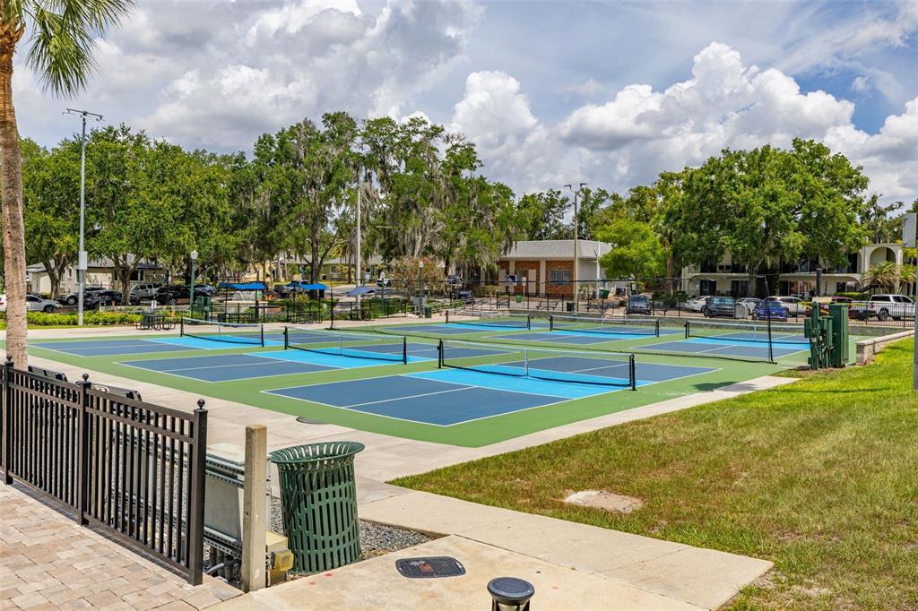 367 August Fern Loop Mount Dora, FL 32757 - Photo 58 of 90