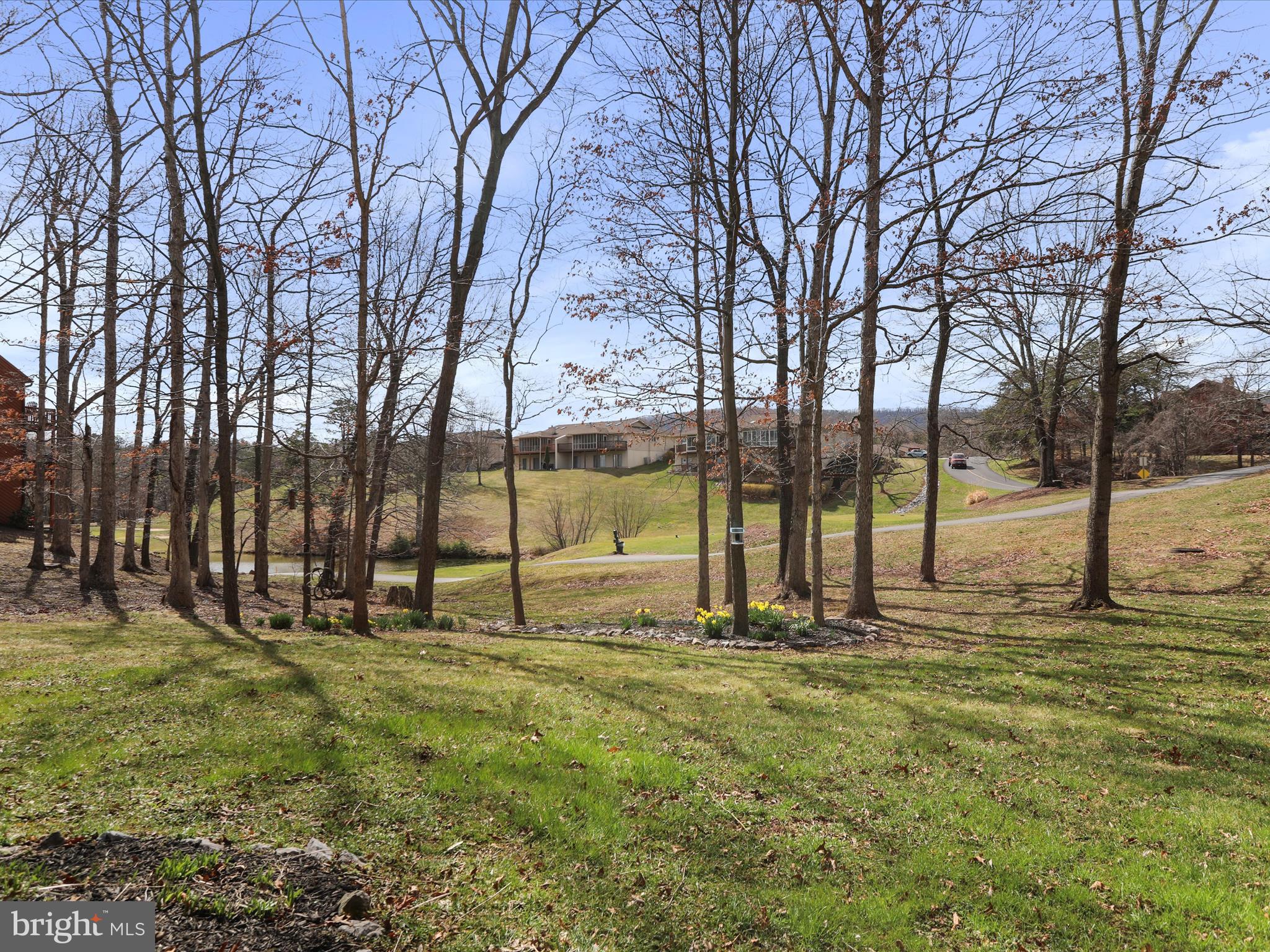 205 Tecumseh Trail Hedgesville, WV 25427 - Photo 40 of 75 a view of park with tree
