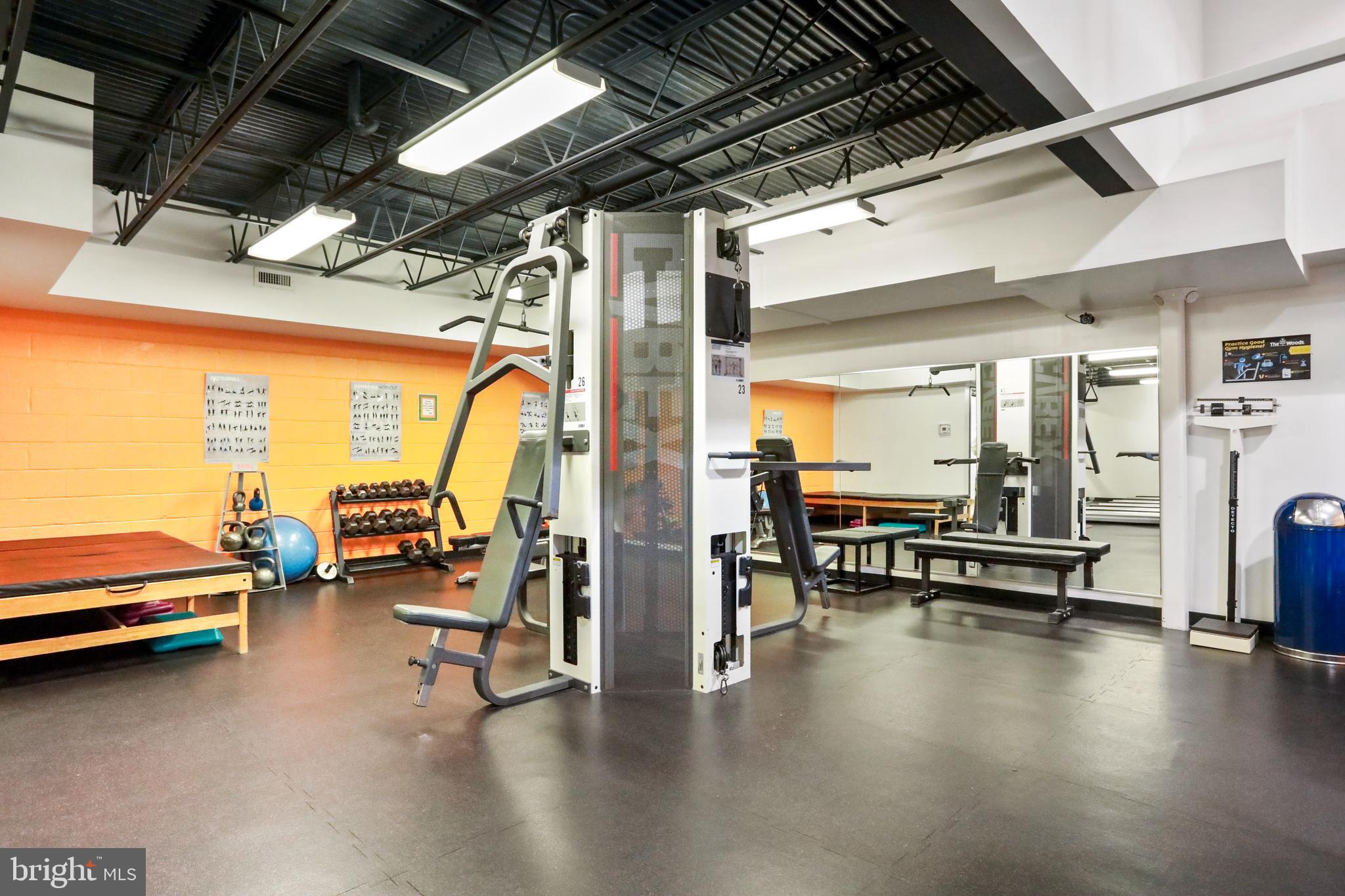 205 Tecumseh Trail Hedgesville, WV 25427 - Photo 62 of 75 Lots of free weights & strength training machines!