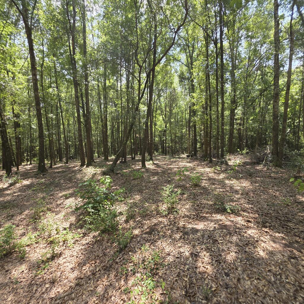 0 Grimes Road Ozark, AL 36360 - Photo 14 of 16 Gallery Image 14