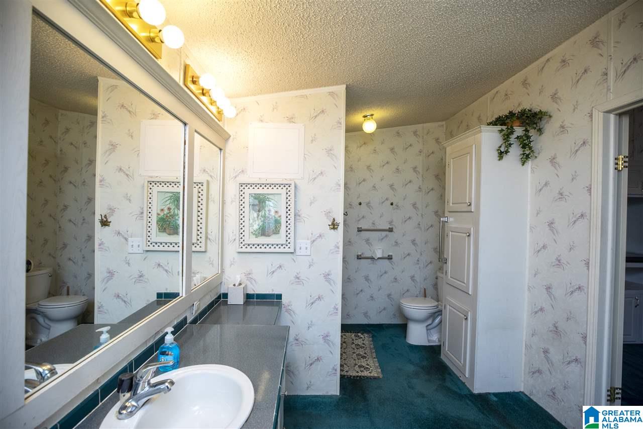 1678 Rushing Springs Road Lincoln, AL 35096 - Photo 31 of 50