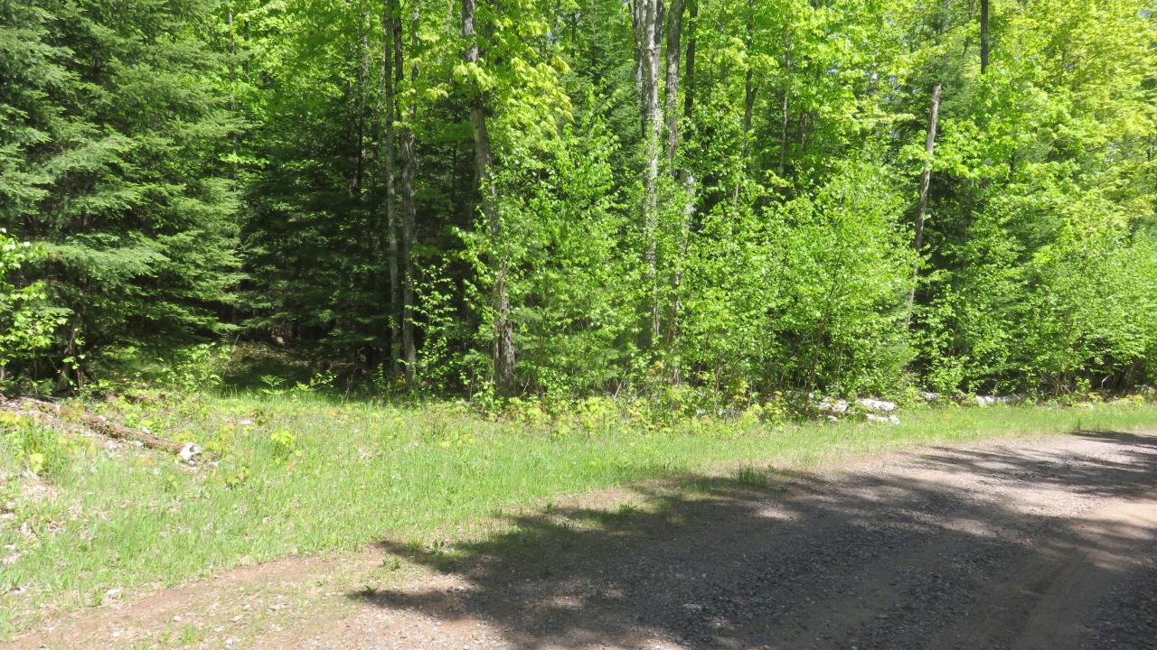 Lot 1415 Wildcat Road Presque Isle, WI 54557 - Photo 5 of 47 Gallery Image 5