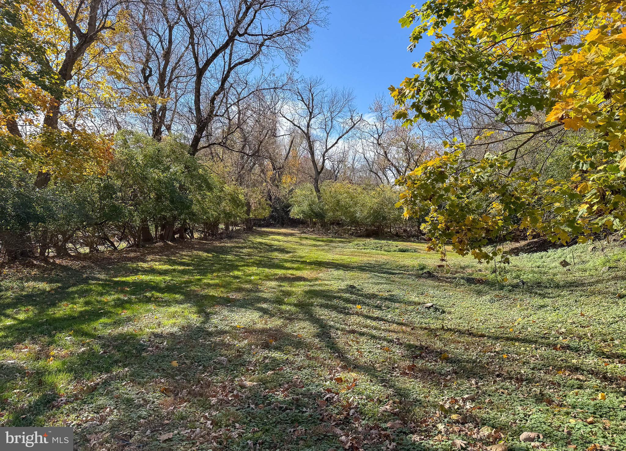 51 Scott Road Glen Mills, PA 19342 - Photo 81 of 85 a view of outdoor space with trees all around