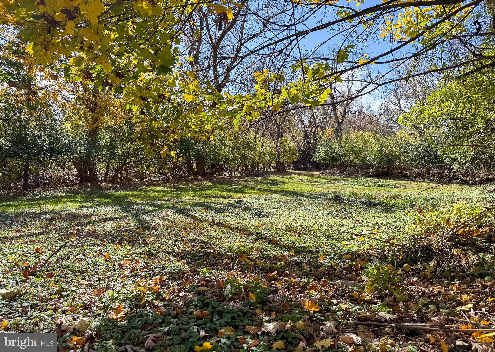 51 Scott Road Glen Mills, PA 19342 - Photo 82 of 85 a view of a field with a tree