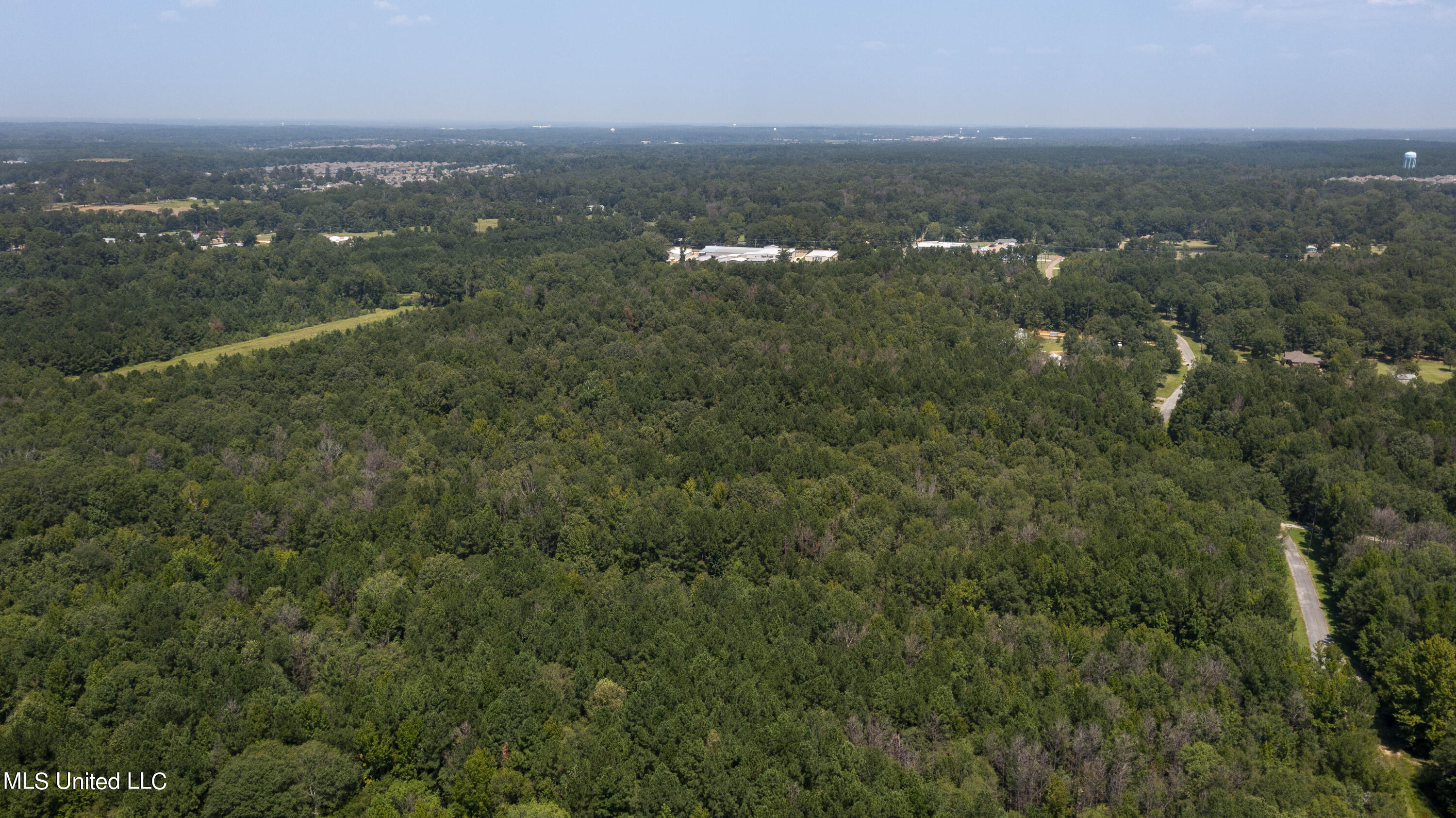 Jamison Court Brandon, MS 39042 - Photo 5 of 24 Jamison Ct-23 Acres-4