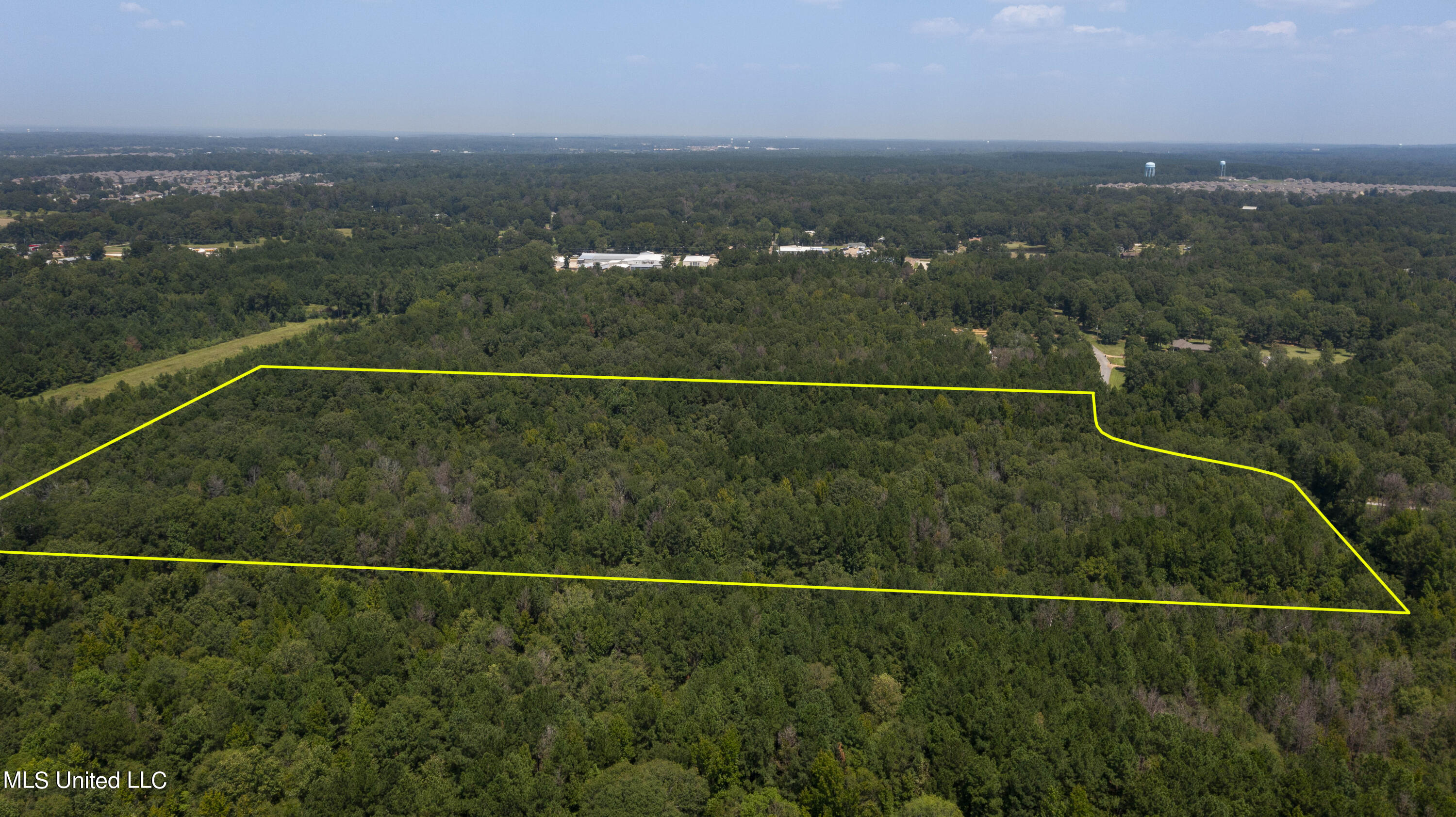 Jamison Court Brandon, MS 39042 - Photo 8 of 24 Jamison Ct-23 Acres-5a