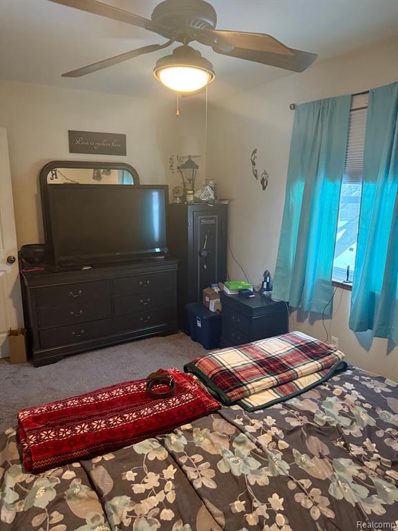 5023 Laur Road North Branch, MI 48461 - Photo 24 of 34