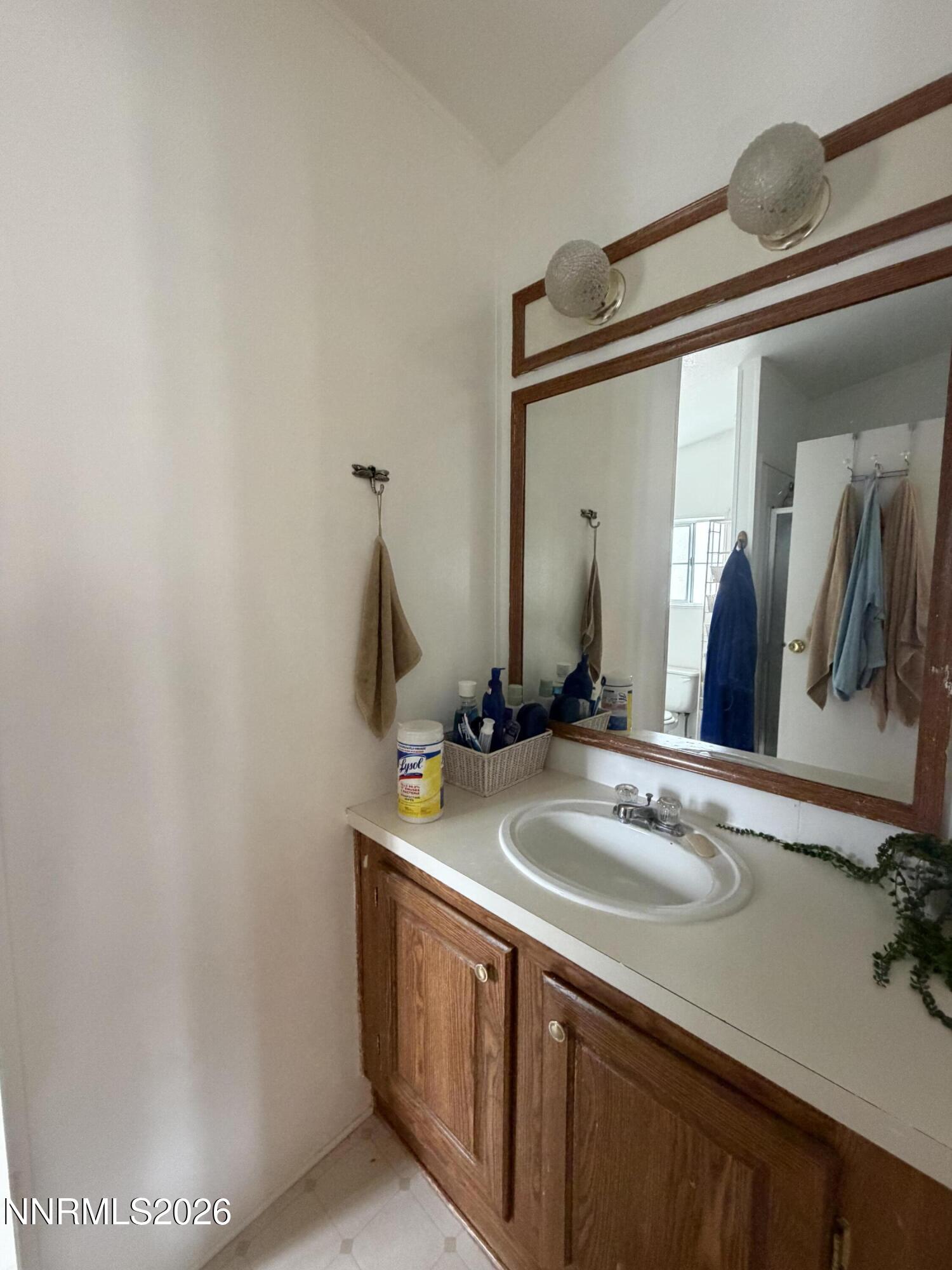 3920 Sandstone Drive Topaz Ranch Estates, NV 89444 - Photo 14 of 20 a bathroom with a sink and a mirror