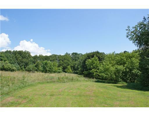 16334 Lowery Road Chelsea, MI 48118 - Photo 9 of 10 Photo 9
