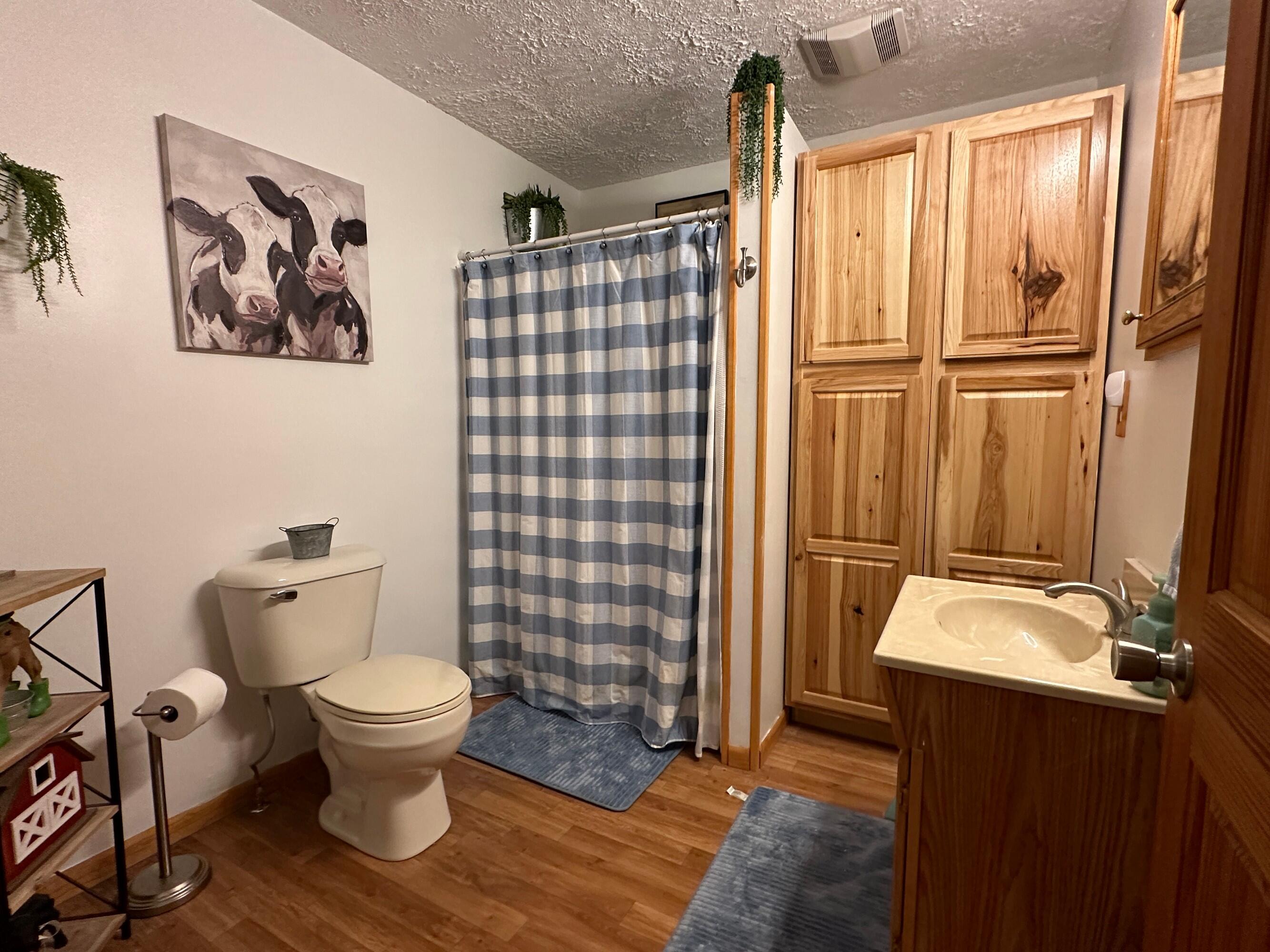 9084 Brudy Road Wolverine, MI 49799 - Photo 7 of 37 Gallery Image 7