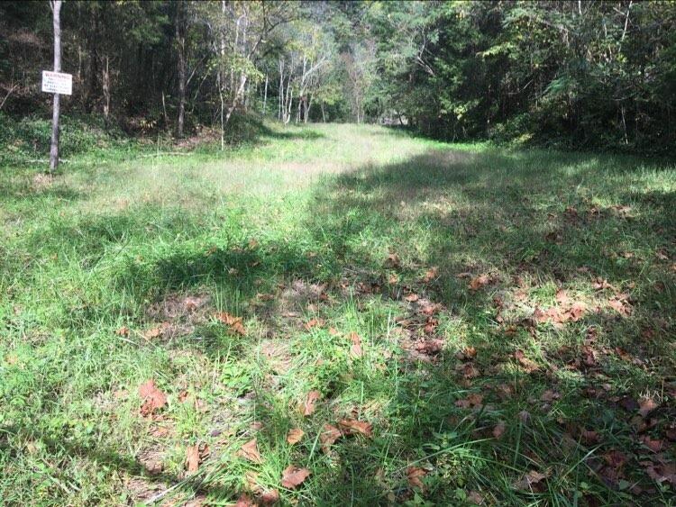 Ellistown Road Corryton, TN 37721 - Photo 3 of 13 244785287_1082320325841302_2763501019861