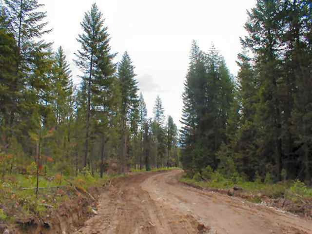 Lot 3 Orin Rice Road Colville, WA 99114 - Photo 1 of 4