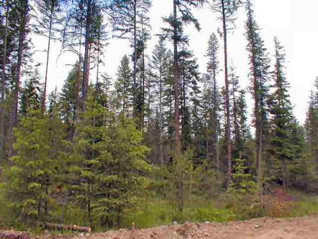 Lot 3 Orin Rice Road Colville, WA 99114 - Photo 2 of 4