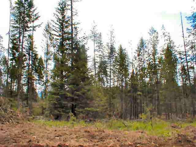 Lot 3 Orin Rice Road Colville, WA 99114 - Photo 3 of 4