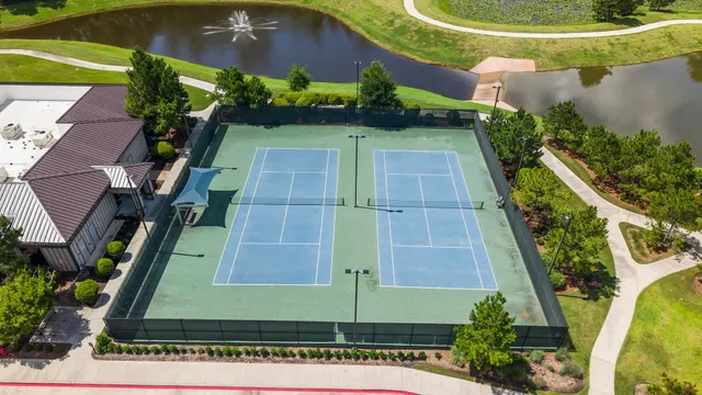 a view of a yard with potted plants