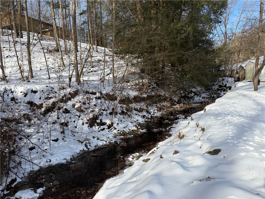 8 Weaver Creek Road Erwin, NY 14870 - Photo 4 of 26