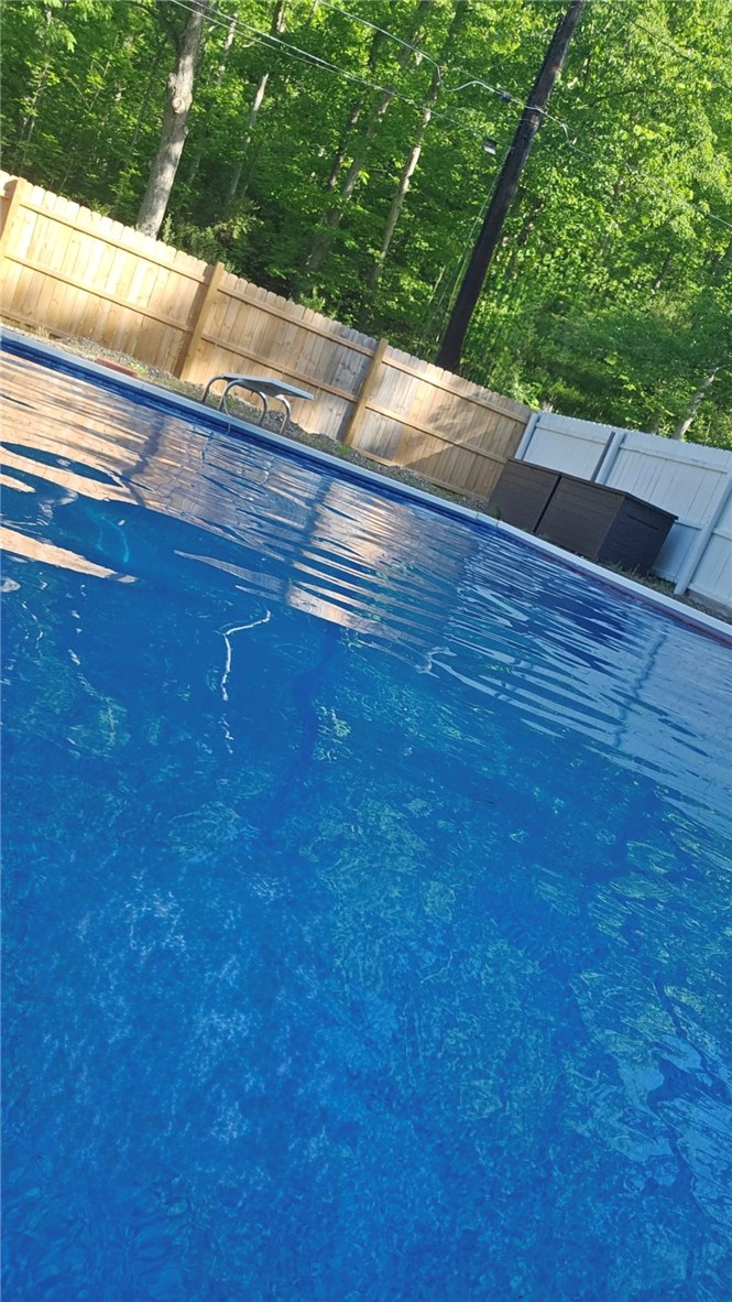 8 Weaver Creek Road Erwin, NY 14870 - Photo 5 of 26