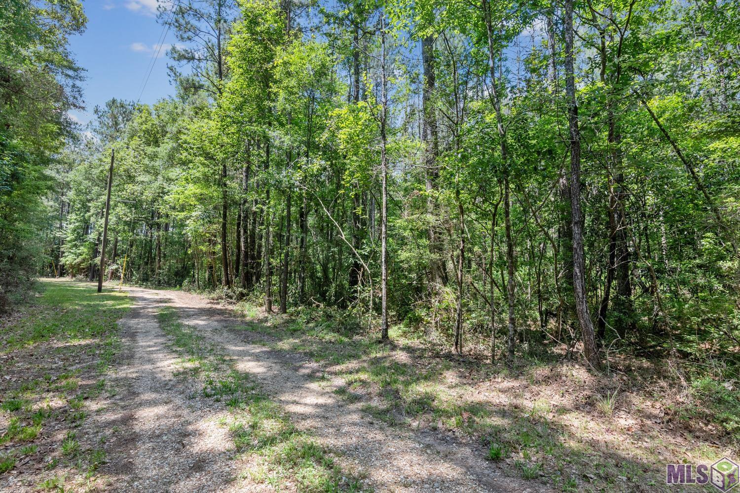 Lot 1 Pace Road Clinton, LA 70722 - Photo 3 of 6