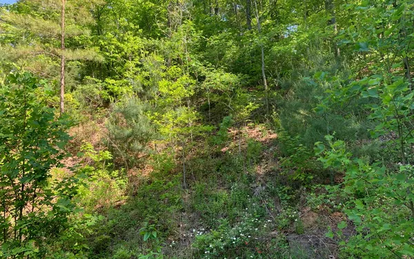 $29,900 | Lot 4 Trillium Heights, Brasstown, NC 28902