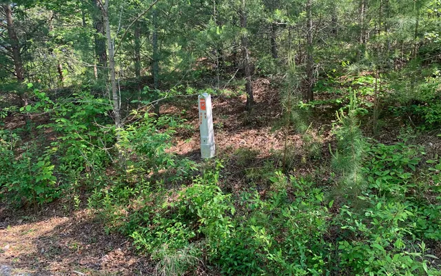 $29,900 | Lot 4 Trillium Heights, Brasstown, NC 28902