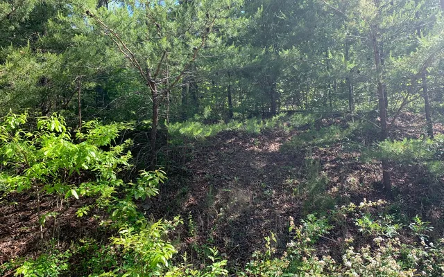 $29,900 | Lot 4 Trillium Heights, Brasstown, NC 28902