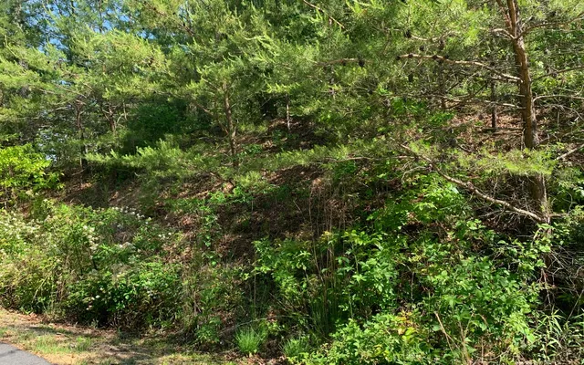 $29,900 | Lot 4 Trillium Heights, Brasstown, NC 28902