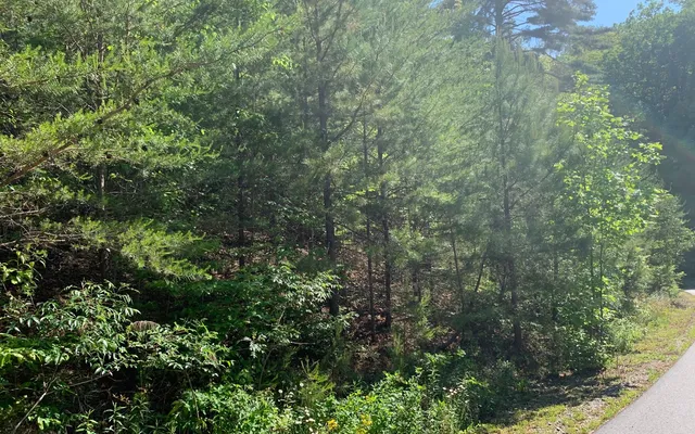 $29,900 | Lot 4 Trillium Heights, Brasstown, NC 28902