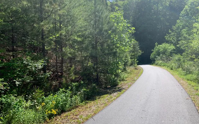 $29,900 | Lot 4 Trillium Heights, Brasstown, NC 28902