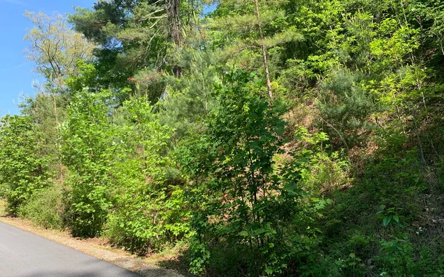 $29,900 | Lot 4 Trillium Heights, Brasstown, NC 28902