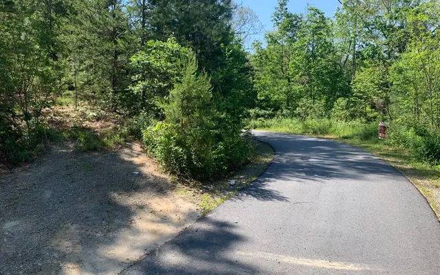 $29,900 | Lot 4 Trillium Heights, Brasstown, NC 28902