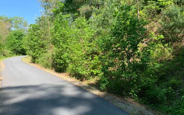 $29,900 | Lot 4 Trillium Heights, Brasstown, NC 28902