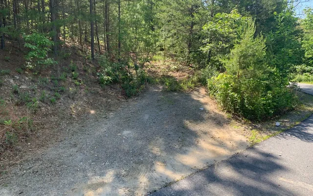 $29,900 | Lot 4 Trillium Heights, Brasstown, NC 28902