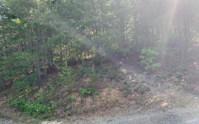 $29,900 | Lot 4 Trillium Heights, Brasstown, NC 28902