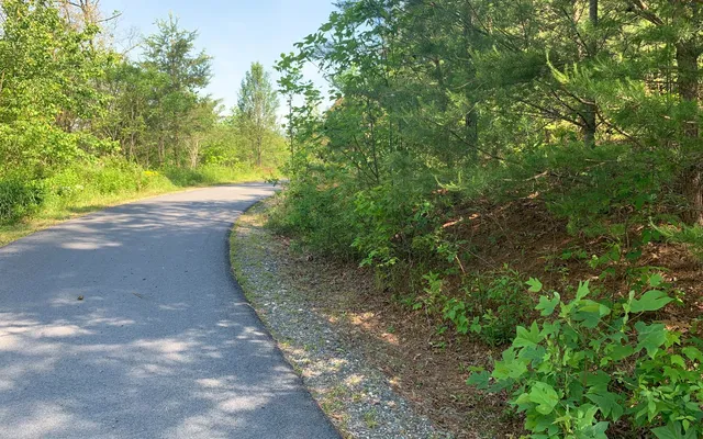 $29,900 | Lot 4 Trillium Heights, Brasstown, NC 28902