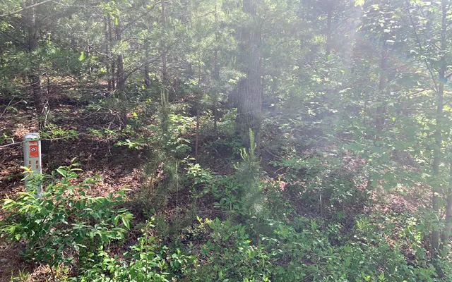 $29,900 | Lot 4 Trillium Heights, Brasstown, NC 28902