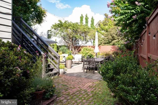 a view of a park with large trees