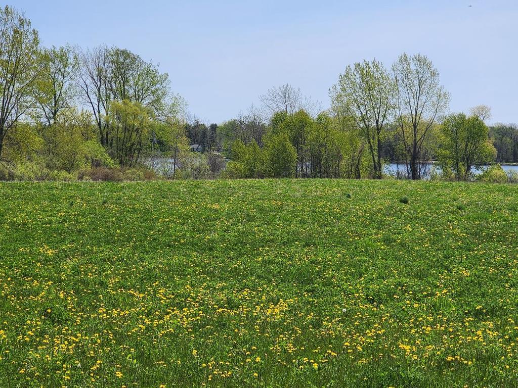 8941 Willow Road Sturgeon Bay, WI 54235 - Photo 1 of 6 Main View