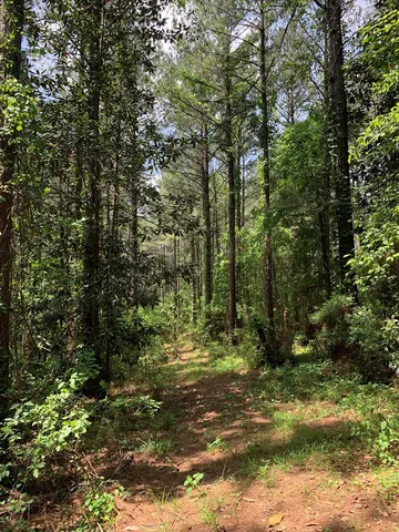 $1,044,932 | 84 Applewhite Road, McCall Creek, MS 39647