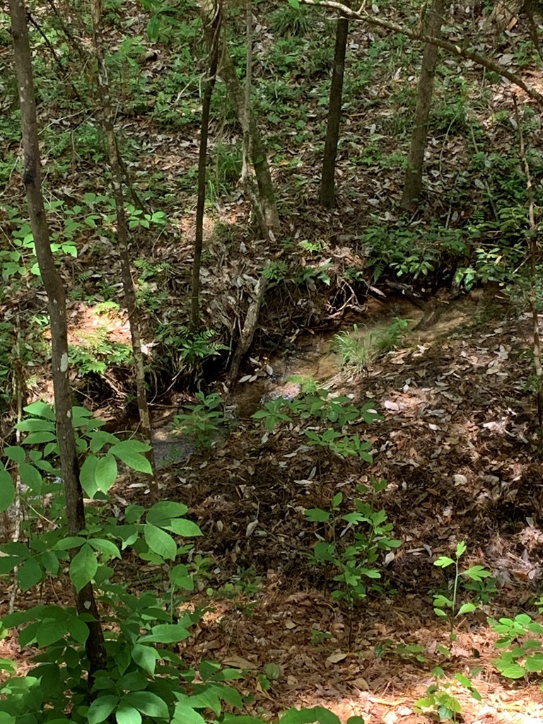 84 Applewhite Road McCall Creek, MS 39647 - Photo 16 of 24 Photo 16