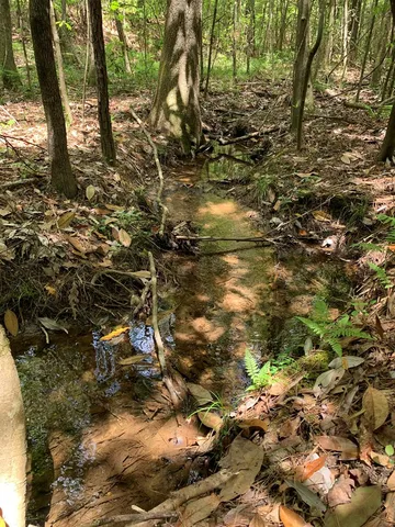 $1,044,932 | 84 Applewhite Road, McCall Creek, MS 39647