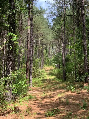 $1,044,932 | 84 Applewhite Road, McCall Creek, MS 39647